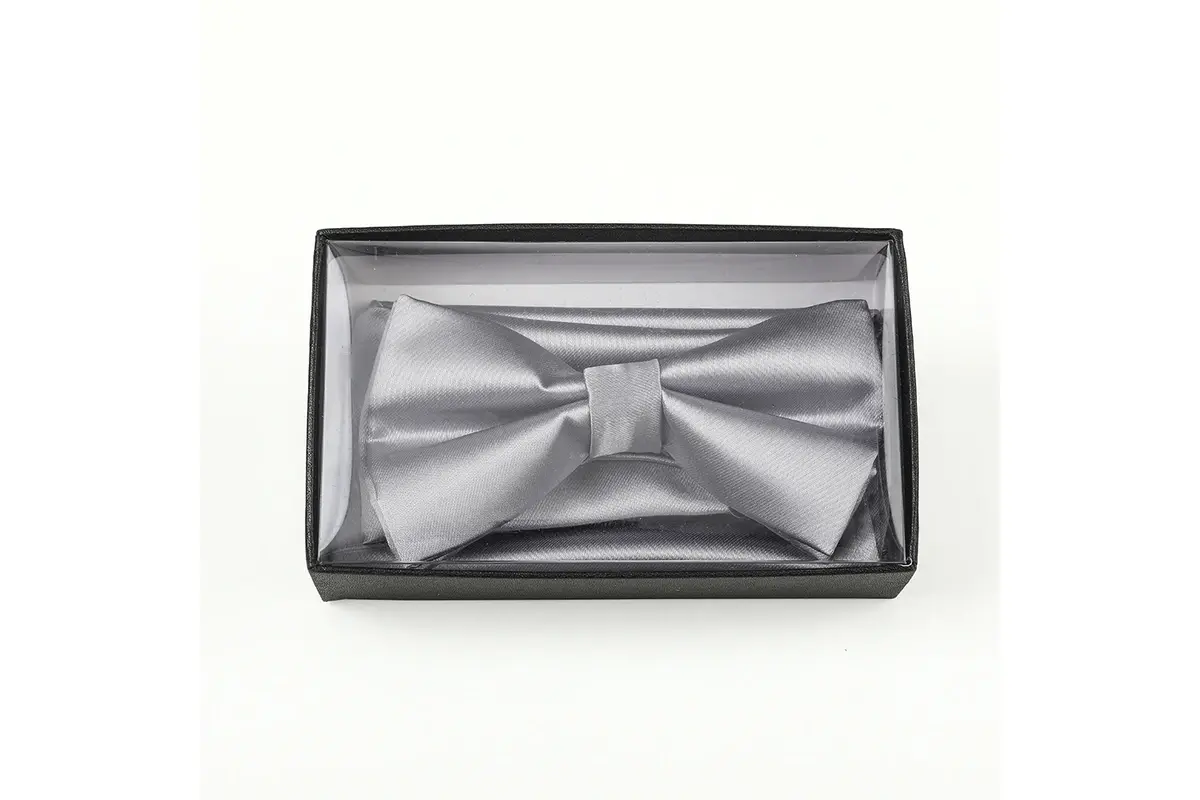 Silver bow tie displayed inside a clear-front presentation box.