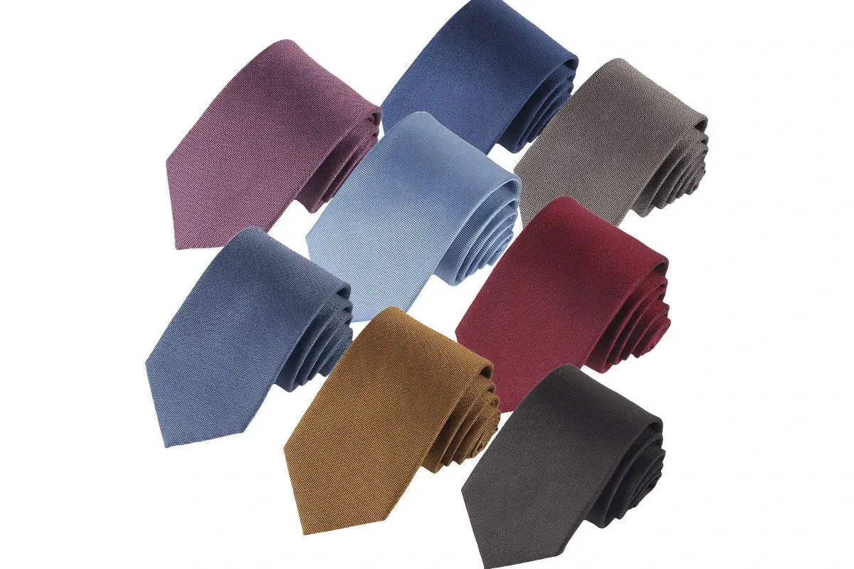 Eight rolled plain ties in blue, gray, burgundy, purple, gold and black tones.