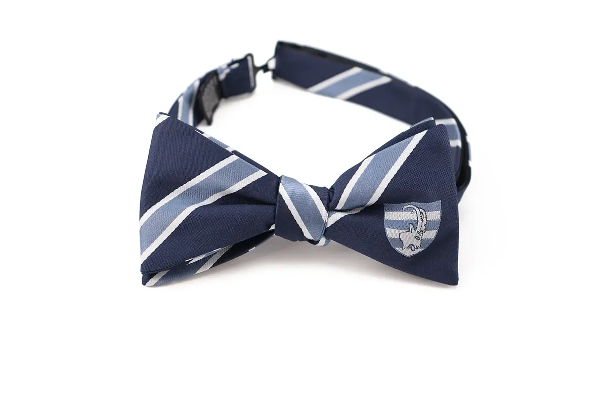 Navy bow tie with pale blue diagonal stripes across the wings and center knot.